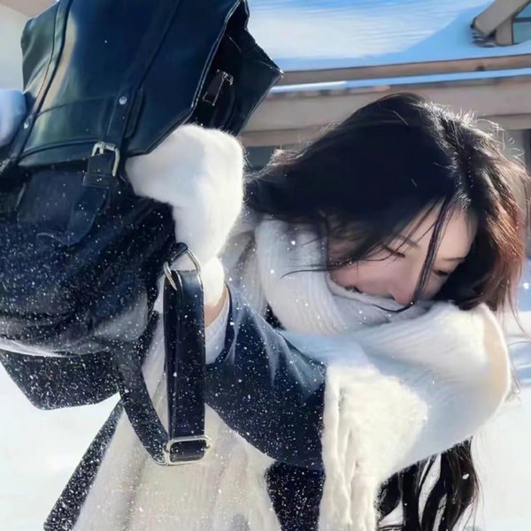 使君有妇